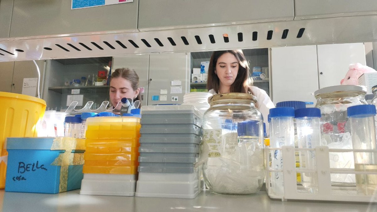 GobAragon's tweet photo. 🔝🔬 #Aragón lanzará una convocatoria de 7 Mi€ para contratar a 65 nuevos investigadores predoctorales. Es la mejor financiada y con mayor nº de contratos de la historia.

@MaruDiazCalvo ha hecho el anuncio en un encuentro con jóvenes investigadores en el Campus Río Ebro. https://t.co/yOV8NJhxsD