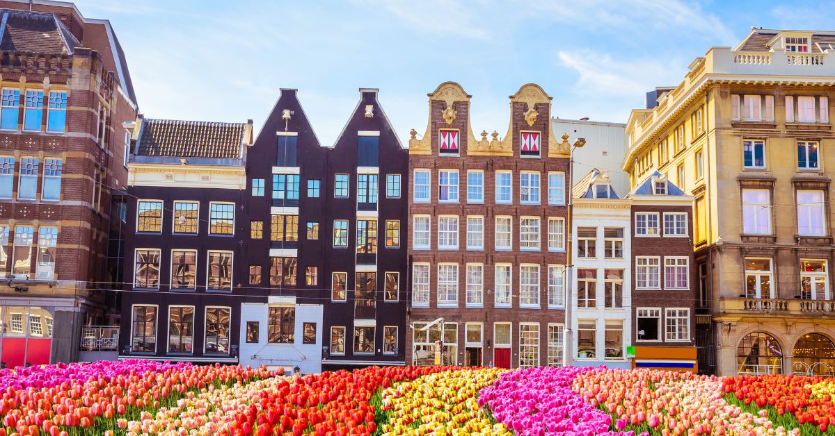 WorldCruise's tweet photo. Hurry this deal won't last long! Take advantage of reduced airfare on Viking River Cruises' Rhine Getaway. This cruise is very popular and sells out quickly.

https://t.co/vVLWYk6BR9 https://t.co/sf9gz2NkM4