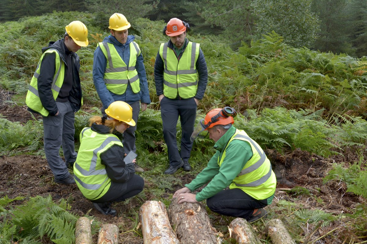 ForestryComm's tweet photo. You asked and we answered! In our NEW BLOG post we've shared the Q&amp;A from last week's #AskAnApprentice live Twitter session. It's full of expert advice for anyone considering applying for our Forestry Apprenticeship.

https://t.co/XO7rDd9j1x

#FutureForesters @CumbriaUni @TheICF https://t.co/eIMfzjxAgN