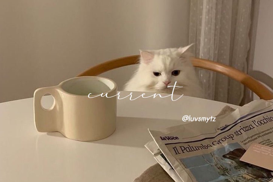 iky ✧˖° (@luvsmytz) on Twitter photo 