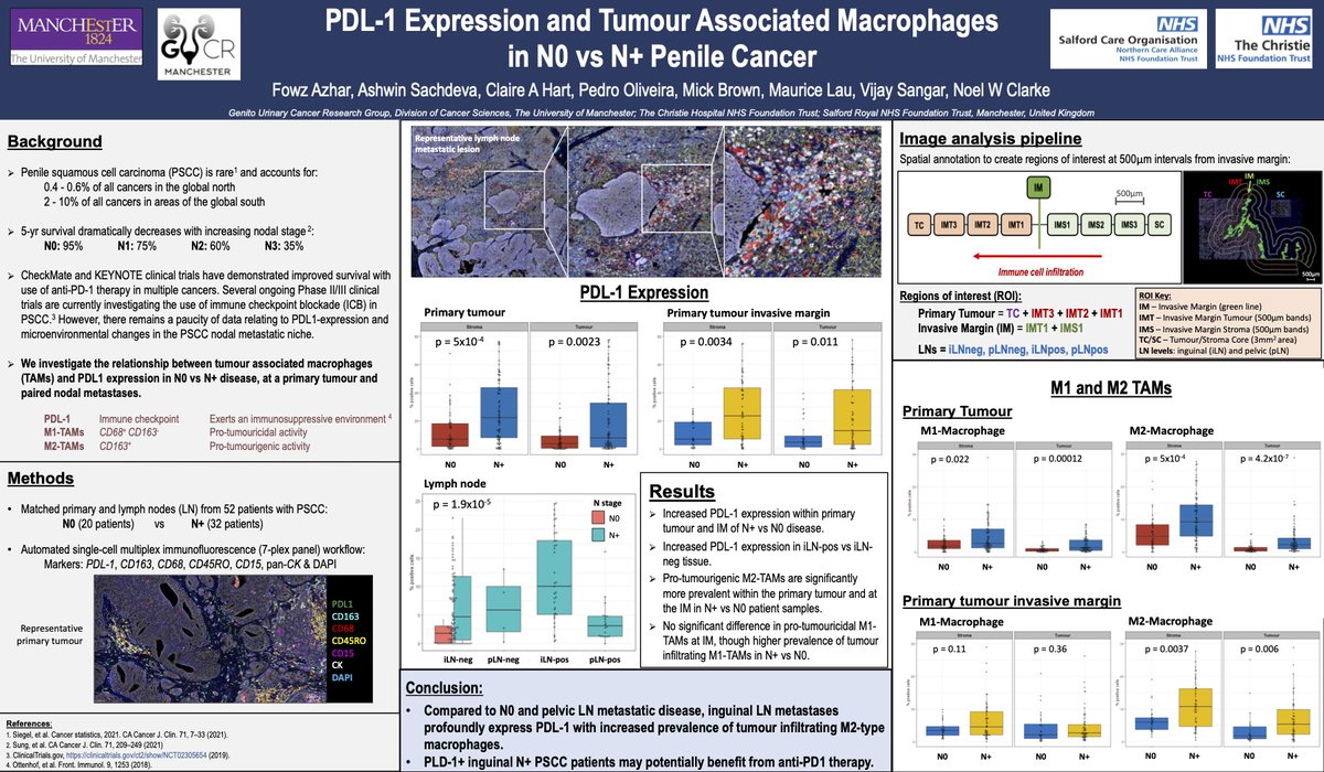 Come visit Poster 12 at #ascogu2023 #GU23 

Differential expression of PDL-1 and tumour-associated macrophages in N0 and N+ #PenileCancer.

👨🏻‍🔬 @fowz_azhar 
📍Level 1, West Hall
⏰ Sat 18 Feb 2023 7AM PT / 3PM GMT