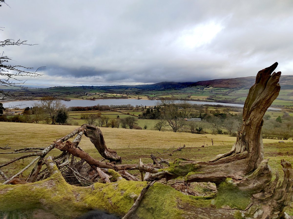 Llangasty views #explorelocal #discoverlocal #getoutside #BorderCollie #breconbeacons #dogsoftwitter #lesserwalkedpaths @DerekTheWeather @OrdnanceSurvey @ExploreBreconB @VisitBrecon @BeaconsPhotos @aroundllangorse