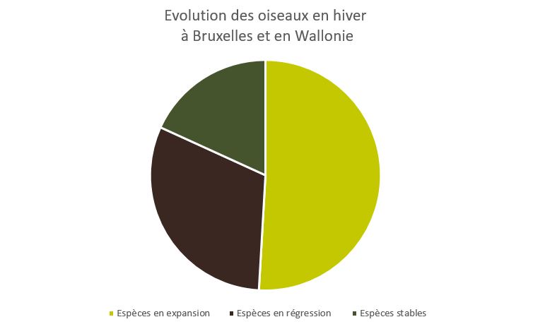📢 L'ANALYSE DES 20 ANS DE #recensementdesoiseaux de jardin en hiver est disponible 🐦

✔️ des résultats significatifs ont été obtenus pour 55 espèces 🎉
✔️ 28 espèces d'oiseaux sont en ↗️, 17 en ↘️ et 10 sont stables...

Envie de comprendre ? RDV sur oiseaux.natagora.be/fr/resultats-d…