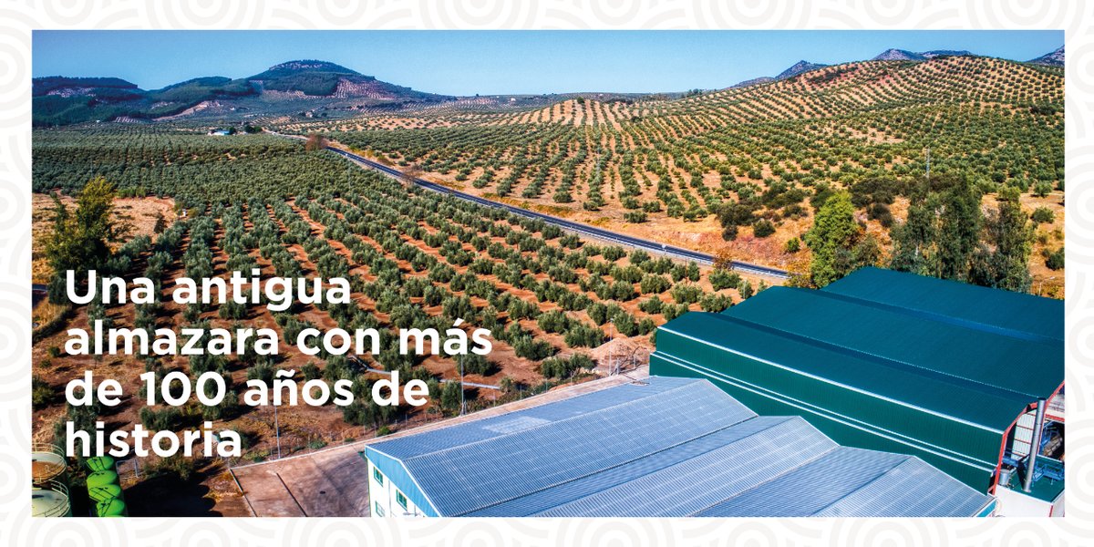 Desde el municipio jienense de Alcaudete, nace la almazara Molino de las Torres, una antigua almazara con más de 100 años de historia y convirtiéndolas en unas moderna instalaciones que cuentan con las últimos avances del sector.

tienda.molinotorres.es