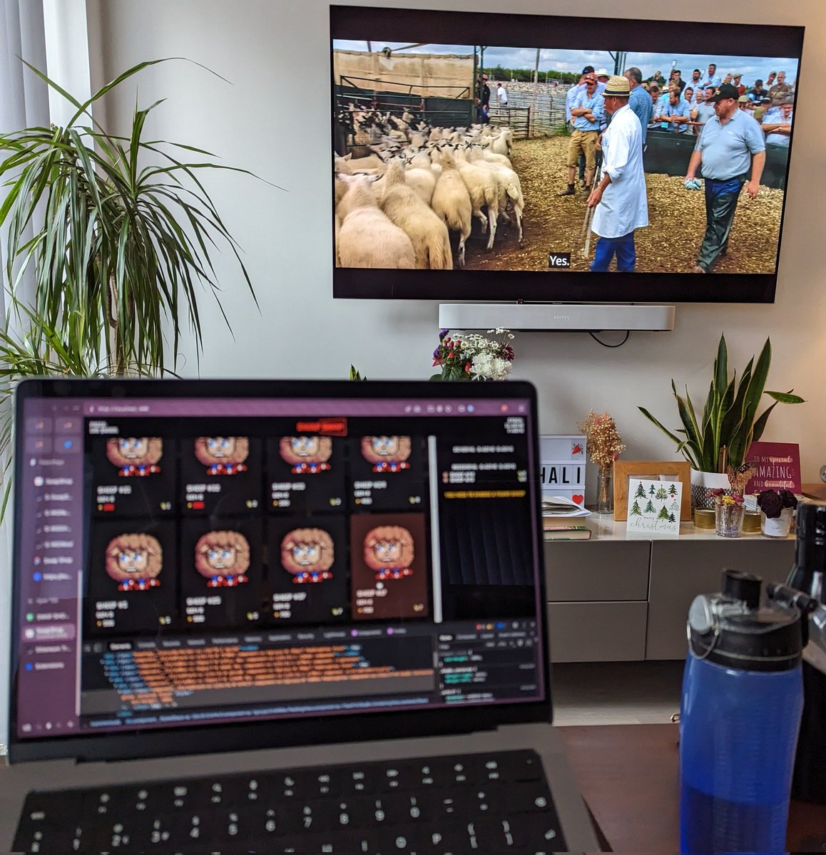 krishan711 tweet media