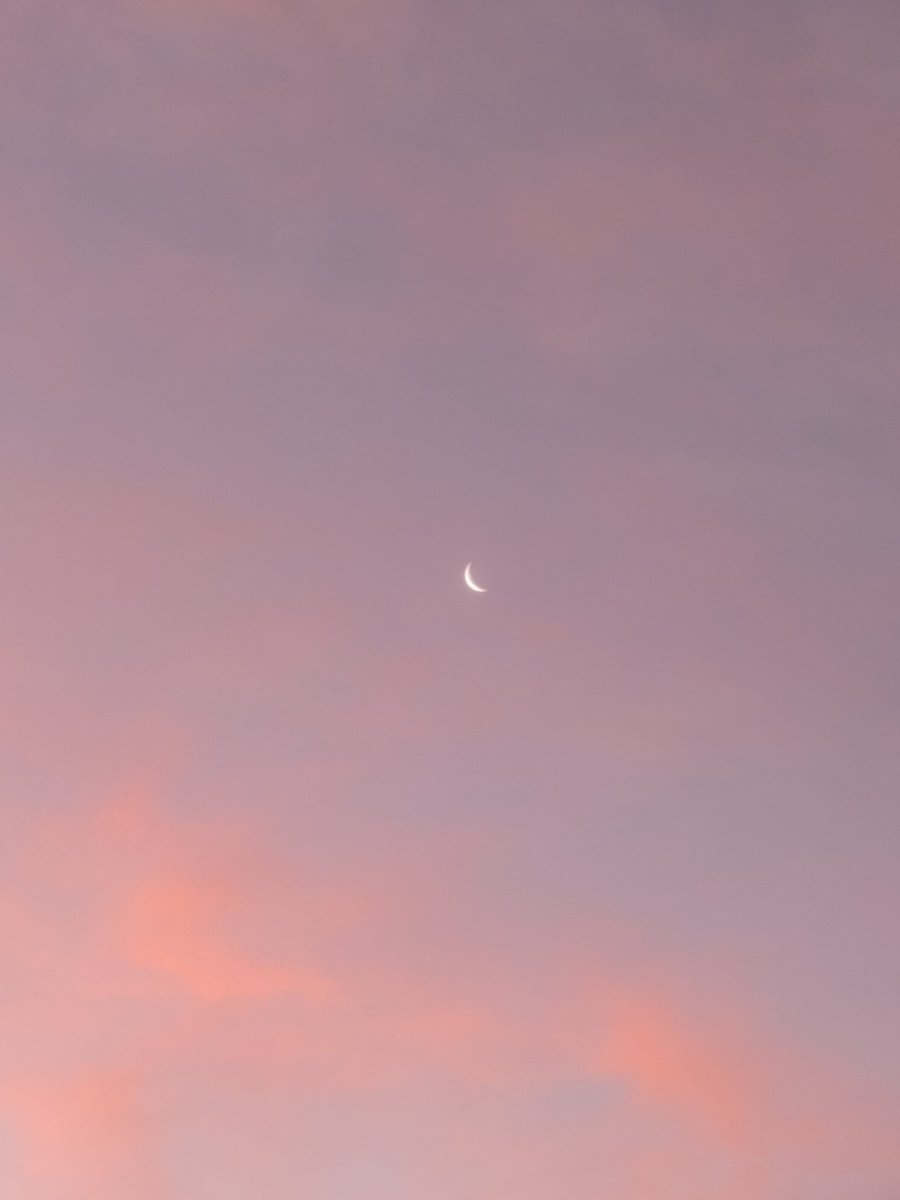 ElMauricio95 tweet media