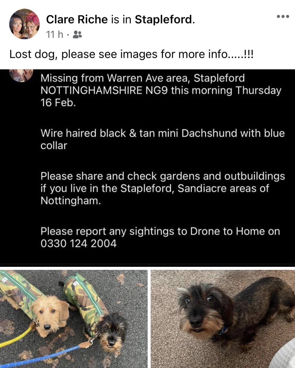 Clare Riche tweet media