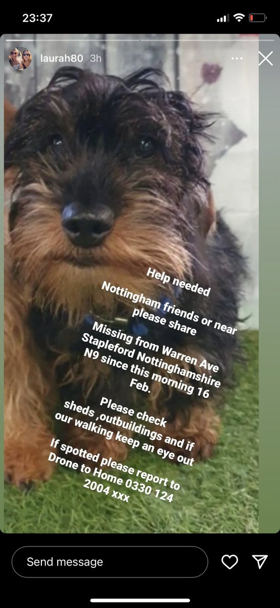 Clare Riche tweet media