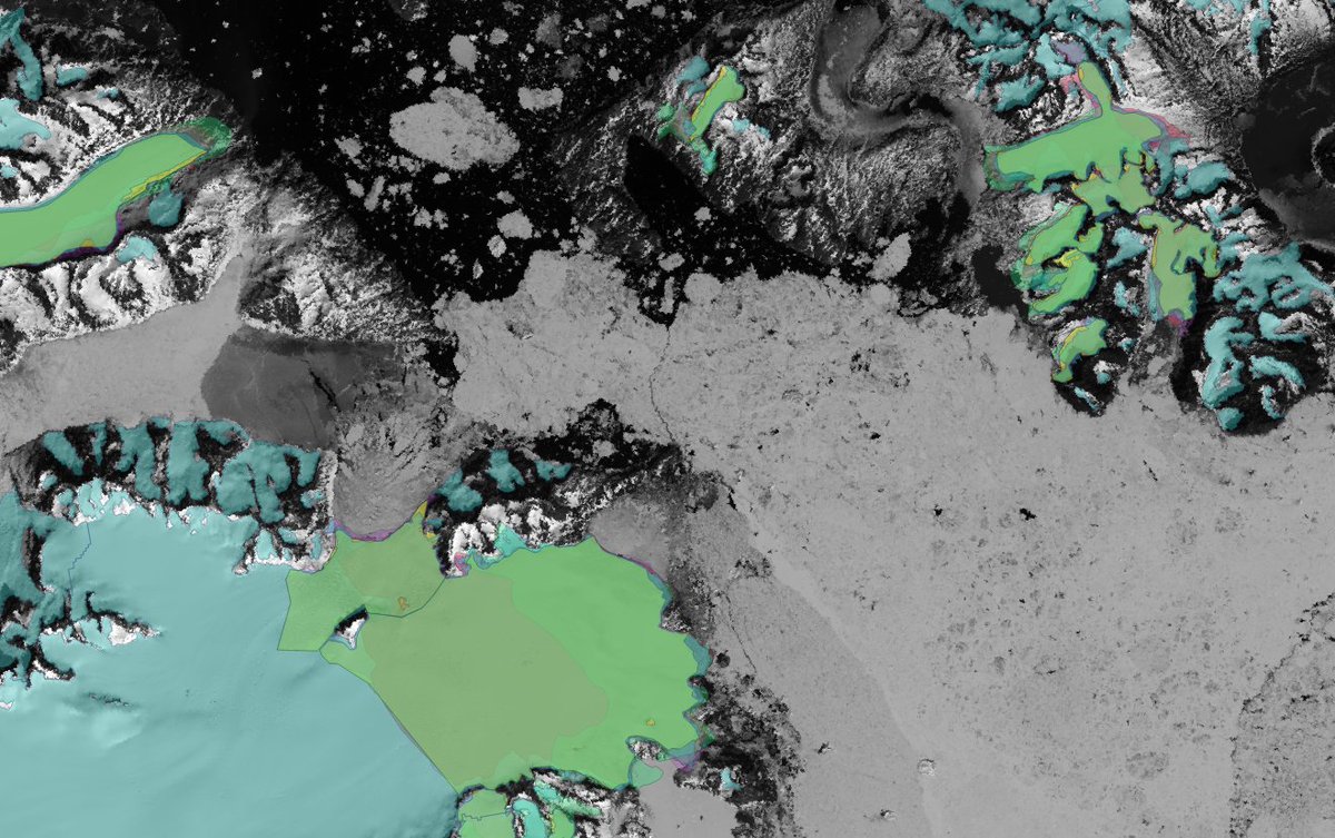 Paulina Lewinska tweet media