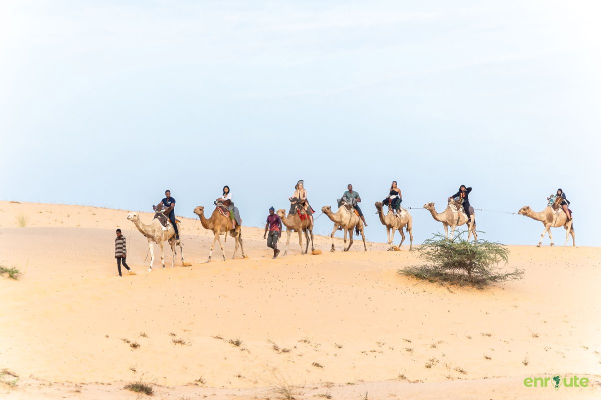 enroute54's tweet photo. We took over 60 people to spend the night with us in an African desert! An unforgettable experience and one you must add to your bucket list!

Connect with us to curate your experience!

#visatoafrica #enroute54 #visitafrica https://t.co/yZmAquID9q