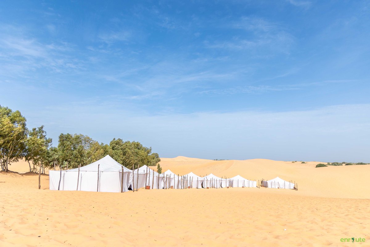 enroute54's tweet photo. We took over 60 people to spend the night with us in an African desert! An unforgettable experience and one you must add to your bucket list!

Connect with us to curate your experience!

#visatoafrica #enroute54 #visitafrica https://t.co/yZmAquID9q
