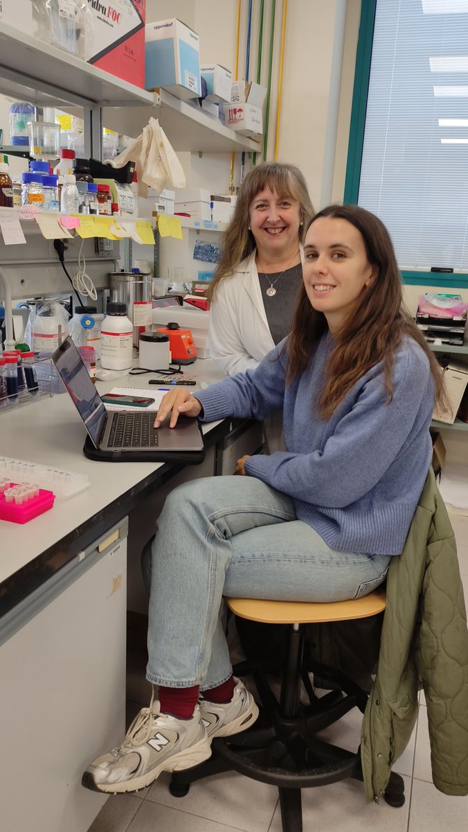 Plant Immunity and Biochemistry (@pibgroupir) on Twitter photo π€New visit!!
<a href="/stevens__kate/">Katie Stevens</a> visited us last week for a short stage learning about #chromatography π±πΏ
Thanks for the visit and for sharing your knowledge!
#ABA #decisiontree #planthormone #resistance
<a href="/UJIuniversitat/">Universitat Jaume I</a> <a href="/ESTCE_UJI/">ESTCE-UJI</a> <a href="/ELunaDiez/">Dr Estrella Luna-Diez</a> <a href="/unibirmingham/">Uni of Birmingham</a> <a href="/MEMBRA_Trees/">MEMBRA_Trees</a> <a href="/BIFoRUoB/">BIFoR</a> π€New visit!!
<a href="/stevens__kate/">Katie Stevens</a> visited us last week for a short stage learning about #chromatography π±πΏ
Thanks for the visit and for sharing your knowledge!
#ABA #decisiontree #planthormone #resistance
<a href="/UJIuniversitat/">Universitat Jaume I</a> <a href="/ESTCE_UJI/">ESTCE-UJI</a> <a href="/ELunaDiez/">Dr Estrella Luna-Diez</a> <a href="/unibirmingham/">Uni of Birmingham</a> <a href="/MEMBRA_Trees/">MEMBRA_Trees</a> <a href="/BIFoRUoB/">BIFoR</a>