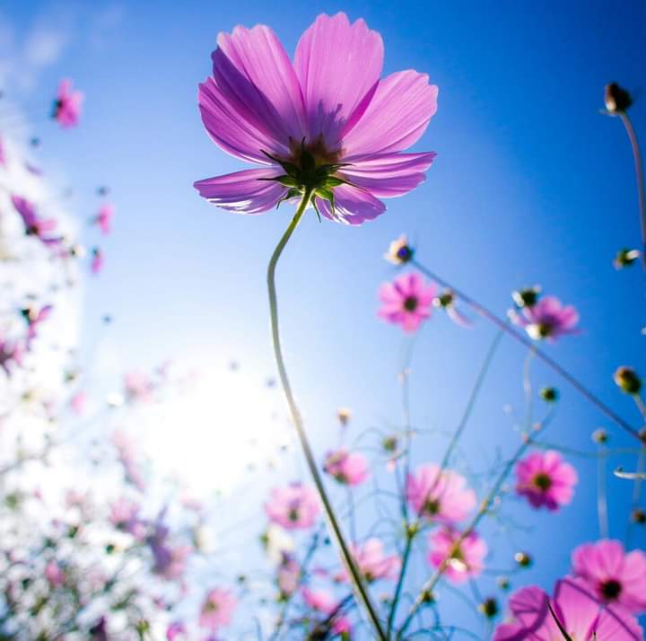 Hello i wishe you great happy weekend,take care,good luck,bey.