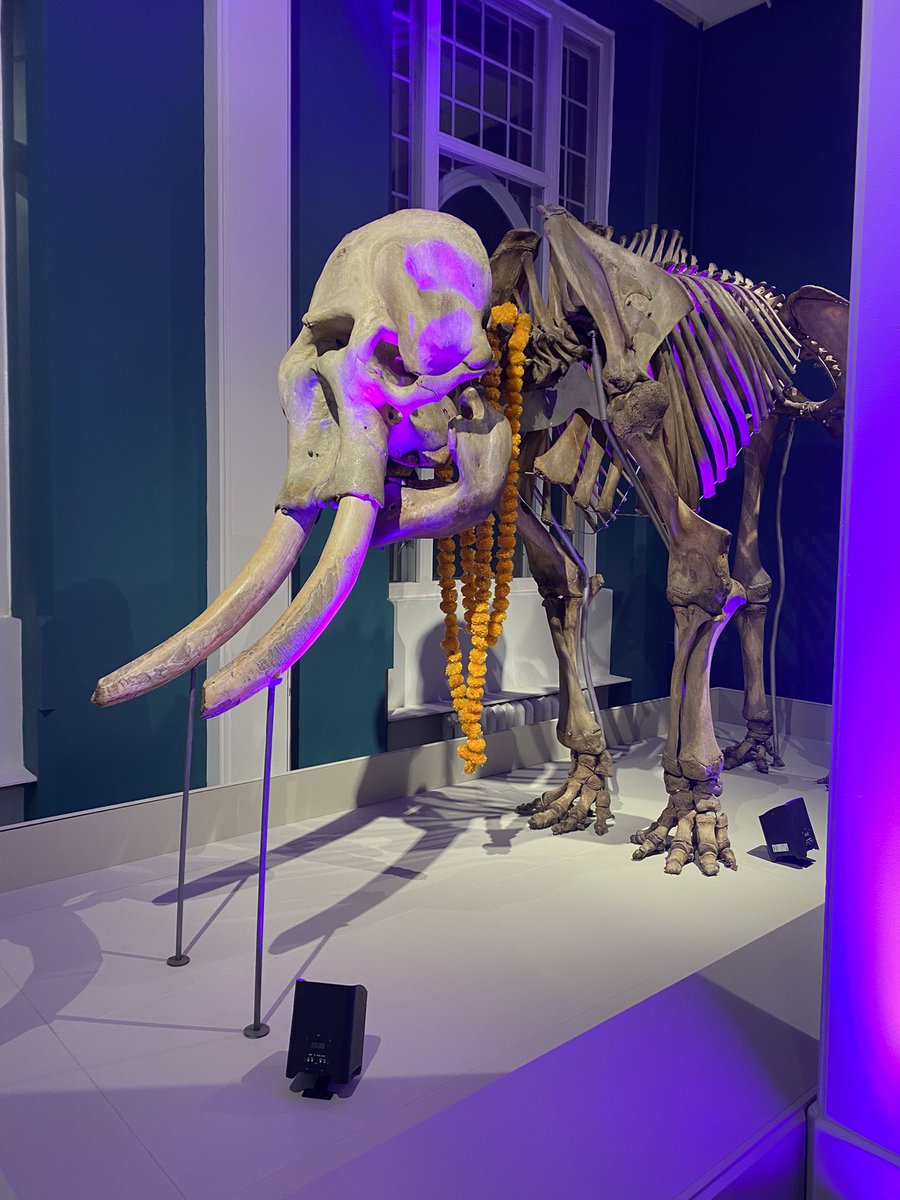 Charlie Booth tweet media