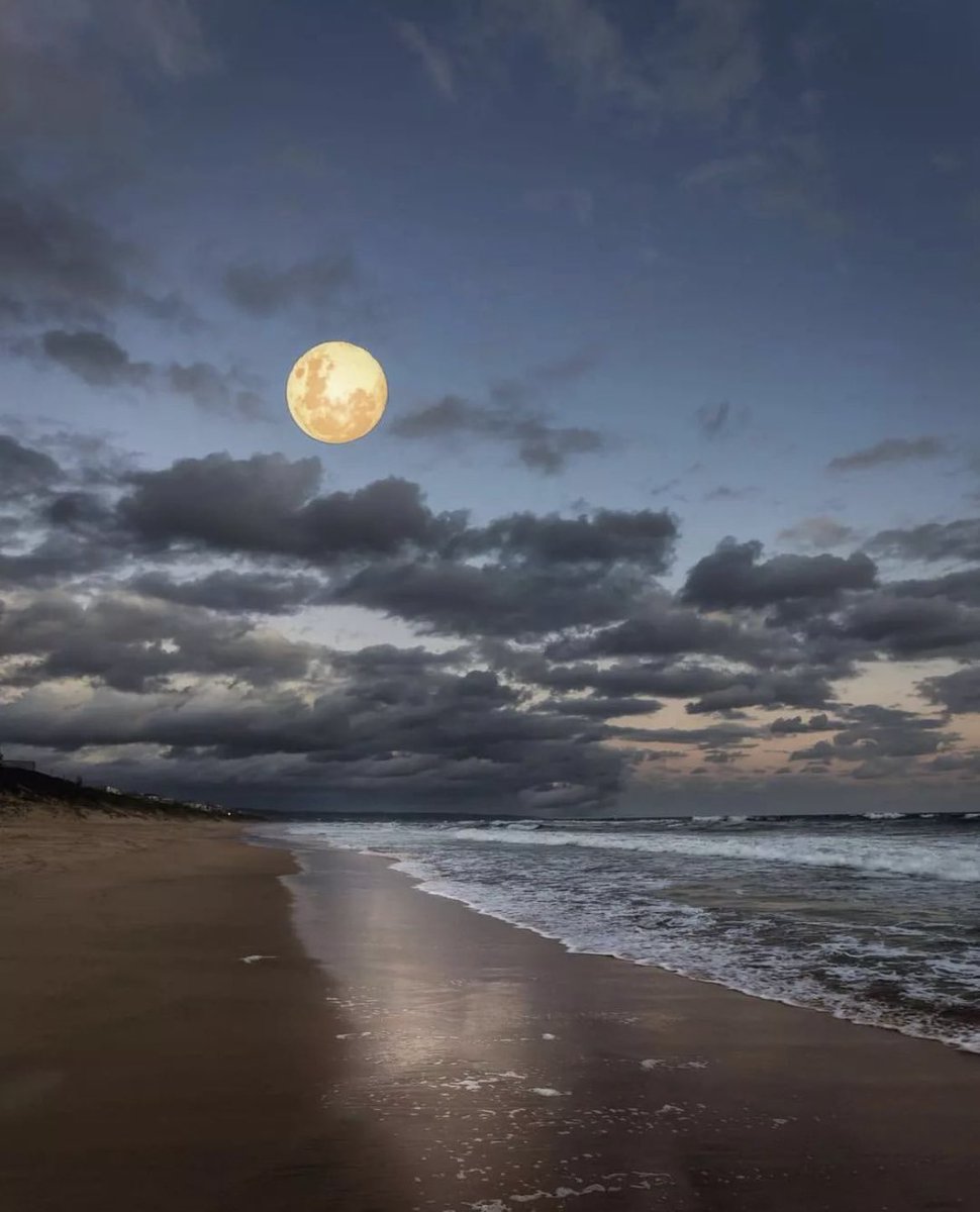 M1ONLOVER's tweet photo. Moon and sea https://t.co/QAKoZzIkUy