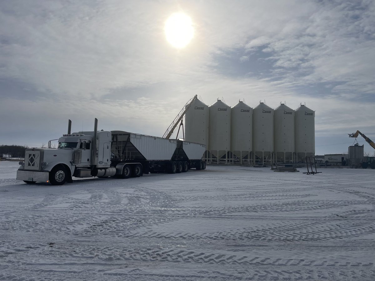 SynergyAG-St.Brieux (@synergyagbrieux) on Twitter photo Excited to start filling bins with fertilizer! #crop2023 <a href="/SynergyAGBrieux/">SynergyAG-St.Brieux</a>
#rootsyoucancounton Excited to start filling bins with fertilizer! #crop2023 <a href="/SynergyAGBrieux/">SynergyAG-St.Brieux</a>
#rootsyoucancounton
