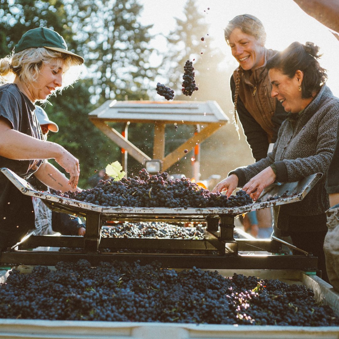 Roberson Wine tweet media