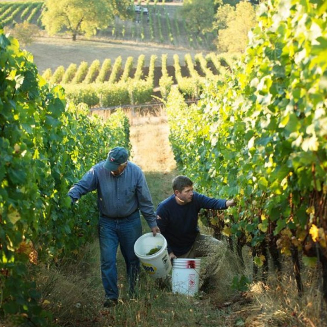 Roberson Wine tweet media