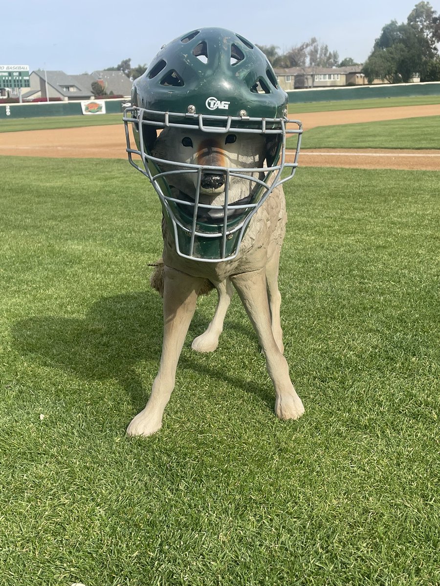 rmac526's tweet photo. @Irvinebaseball what great Guardians. Get off my grass. #nicefield https://t.co/ig235wkyzz