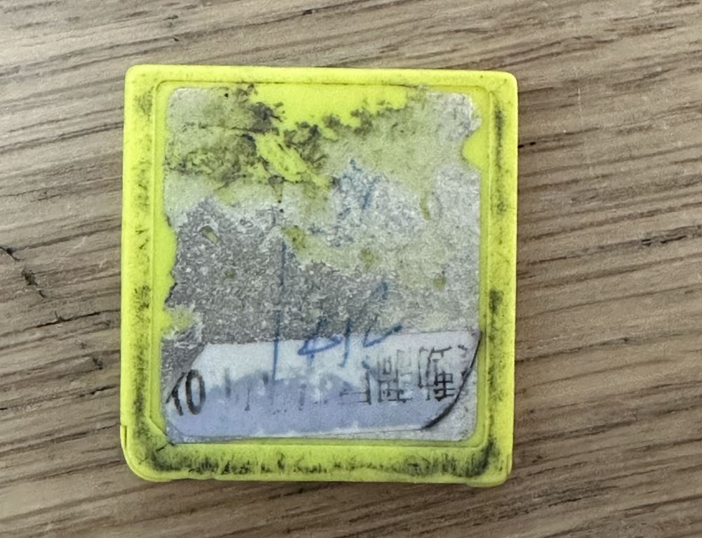 Forest of Illusion tweet media