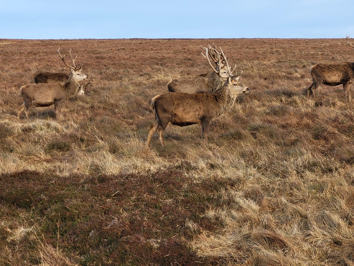 Another busy but rewarding week for our ecology team across the country.  Now to beat the rush hour traffic and get home for a well-deserved rest! 
#ecology #niodiversity #energycrisis
