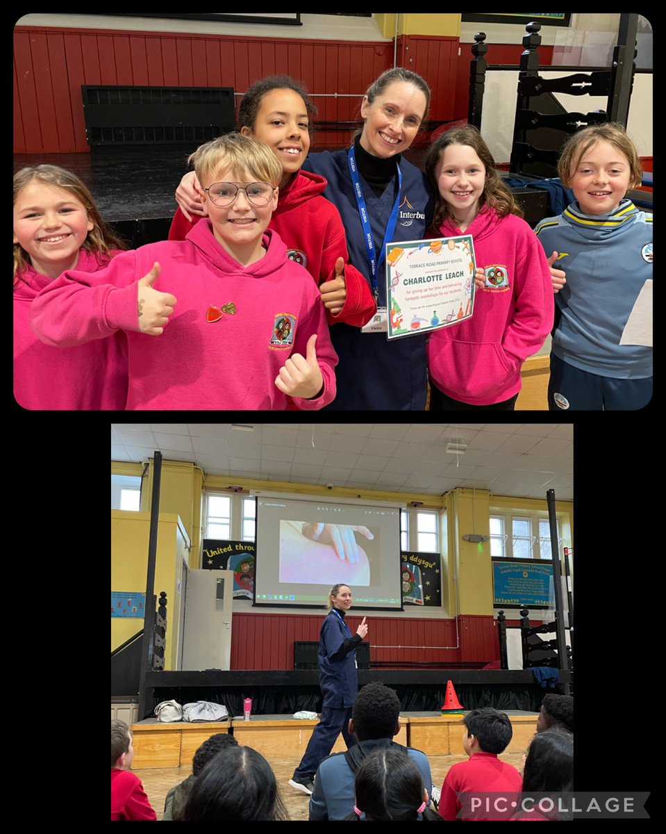 TerraceRoad's tweet photo. #TRPtoucans #TRPkingfishers and #TRPmacaws had a cracker of a day today with a talk from a burns nurse, and sessions from @SwanseaMedicine about DNA, CPR and our organs. Many doctors in the making…#TRPscitech https://t.co/LtG7tZ0N0z