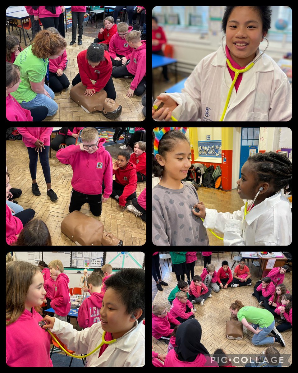 TerraceRoad's tweet photo. #TRPtoucans #TRPkingfishers and #TRPmacaws had a cracker of a day today with a talk from a burns nurse, and sessions from @SwanseaMedicine about DNA, CPR and our organs. Many doctors in the making…#TRPscitech https://t.co/LtG7tZ0N0z