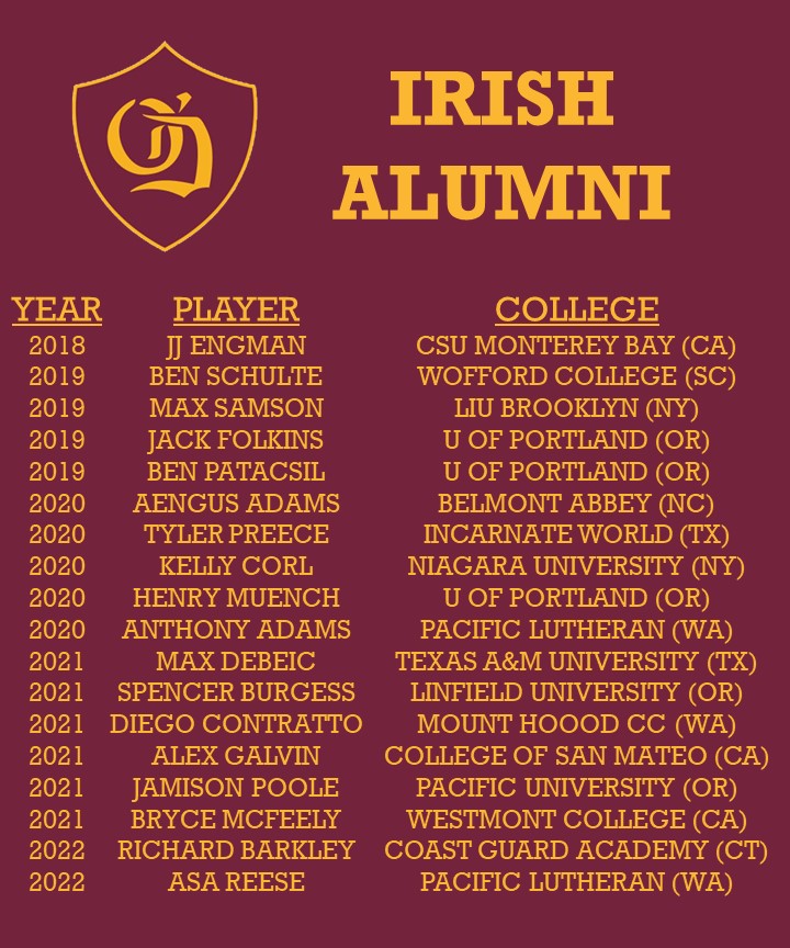 odeabaseball's tweet photo. With the bulk of college seasons starting today, good luck to all our Irish alumni on 2023 spring rosters! https://t.co/oXCqH9Bme4