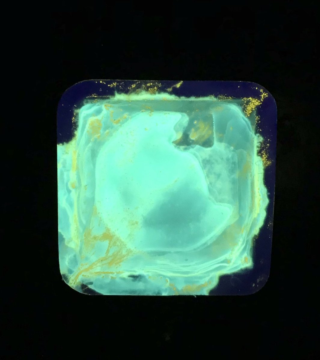 Francesco Pasca tweet media