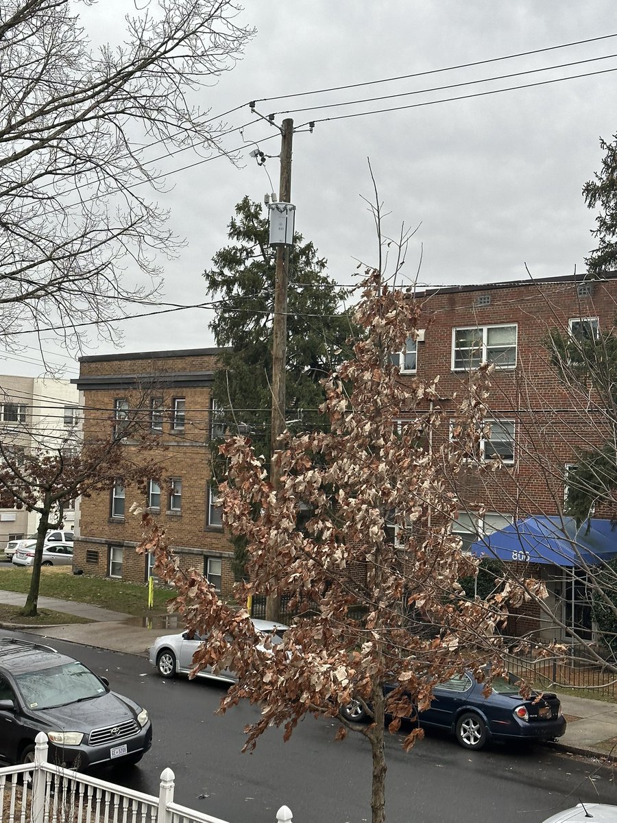 Shirin_Jamshidi's tweet photo. @PepcoConnect @MurielBowser this tree is tilting down and looks like it could fall down any minute on a windy day like today &amp; bring down power lines. @PoPville https://t.co/m4SpO8hz5y