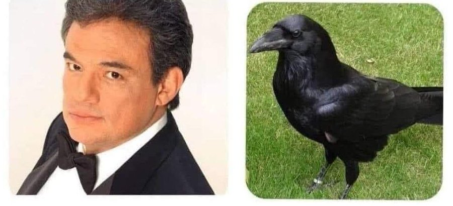 Saquen el...