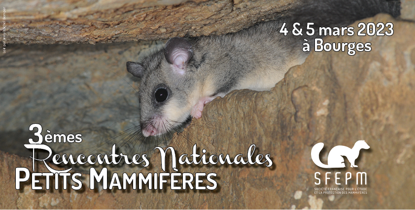 AudeLalis's tweet photo. Les petits mammifères sont à l'honneur !
Inscrivez-vous aux 3èmes Rencontres Nationales Petits Mammifères qui se tiendront au Muséum d’Histoire Naturelle de Bourges les 4 et 5 mars 2023. https://t.co/a6Iqm2yjMW