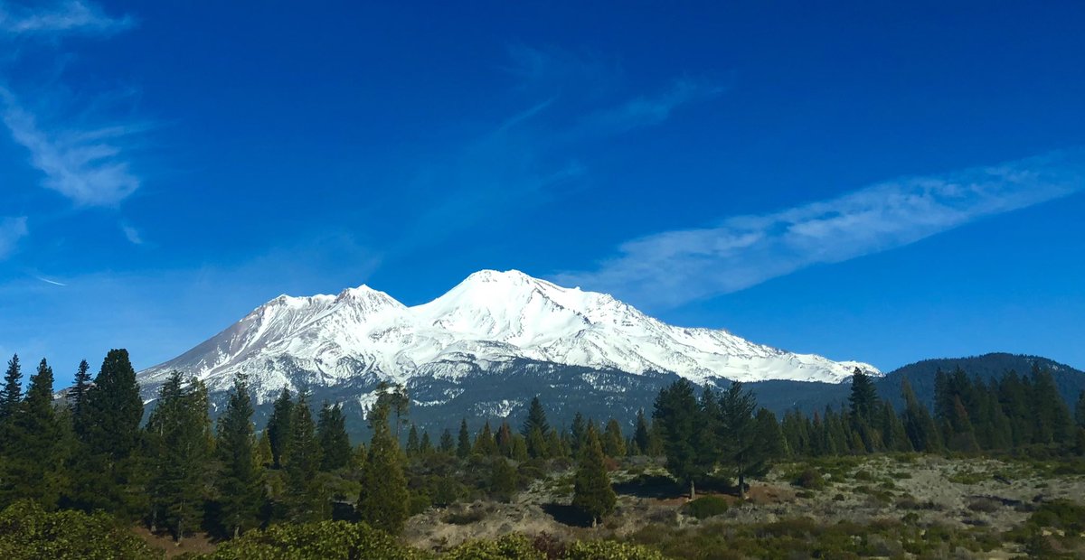 Christine Riley tweet media