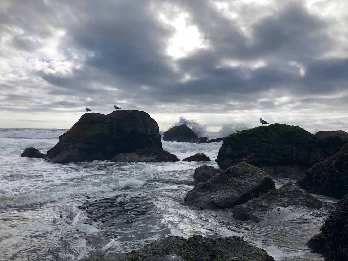 Christine Riley tweet media