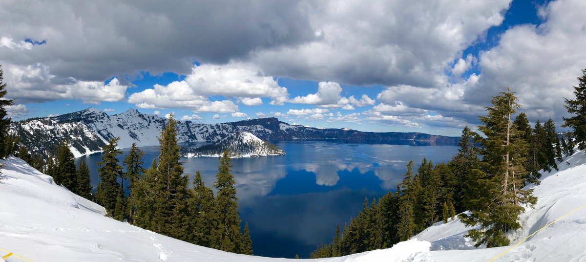 Christine Riley tweet media