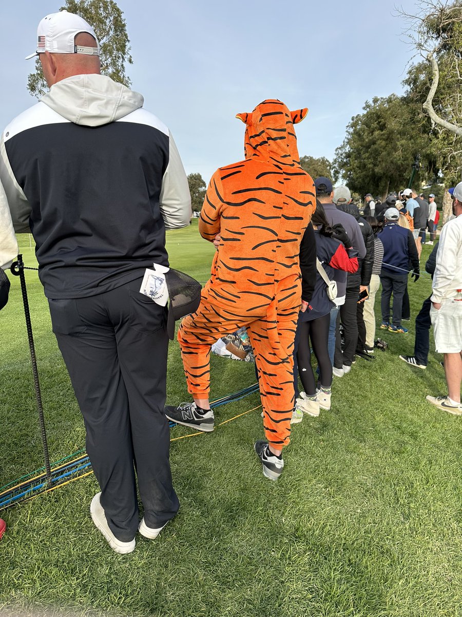 roberto ferrero tweet media