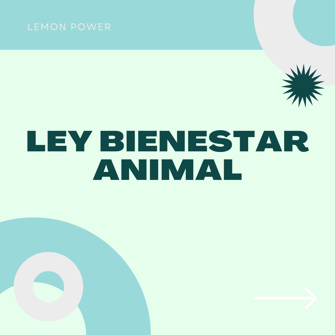 LemonPower10's tweet photo. ¿Habéis oído hablar sobre esta nueva ley? ¡Descubre los principales cambios aquí! 📃 @MMM_Academy @TechnovationMur @technovation #LeyAnimalista https://t.co/JX5Ky6trUf
