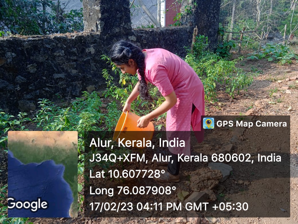 nssskcgvr's tweet photo. Today's Gardening work at #nssgarden @_NSSIndia @nsstvm @HimachalNss @nssrdhyderbad @NssrdB @NSSChennai @nss_rdguwahati @NssrdD @NSSRDPATNA @NSSRDChandigarh @NSSRDLucknow @rd_nss @nssrdbangalore @nsskashmir @NSSRDBhopal @vividhaNSSGoa @nss_ipcw #nssskcgvr #NSS #SIVe @nssrdvvjbp https://t.co/LxecUDonAt