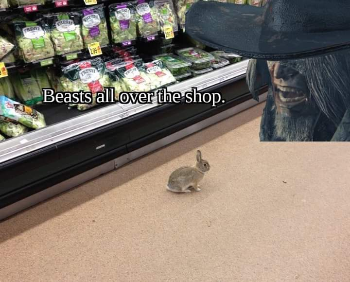 berserksouls (@berserksouls) on Twitter photo 