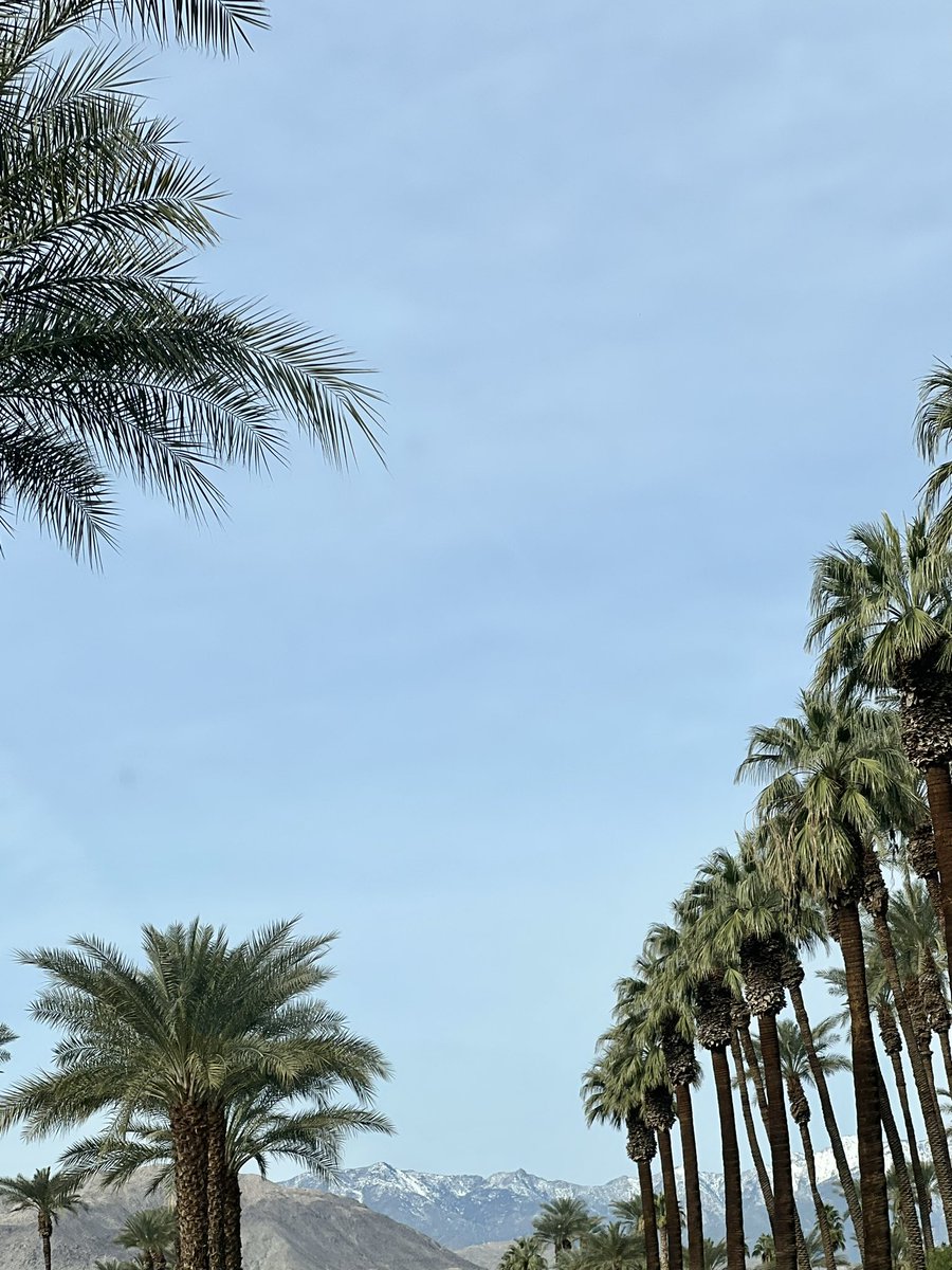 BhathornBrandi's tweet photo. Not everyday you see desert, snow capped mountains and palm trees in one view. Palm Desert, CA @spann https://t.co/1ycbZqO0qT