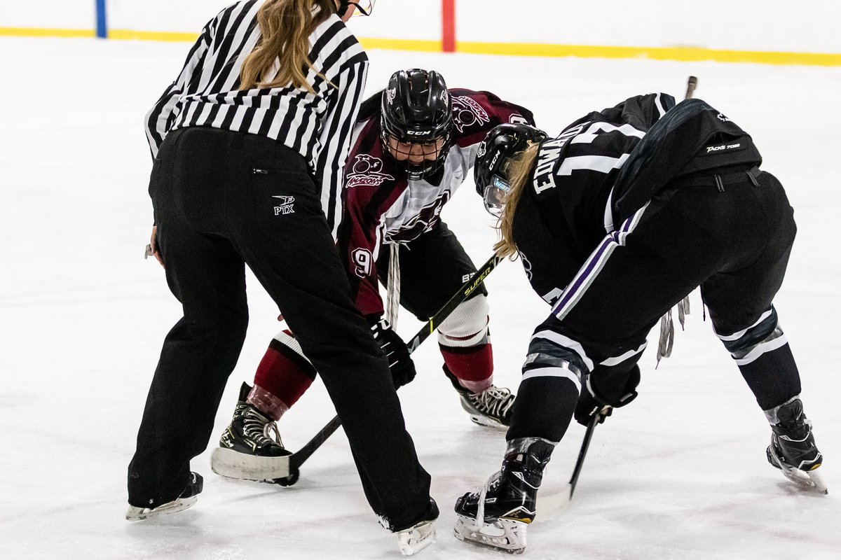 Edmonton Wolves tweet media