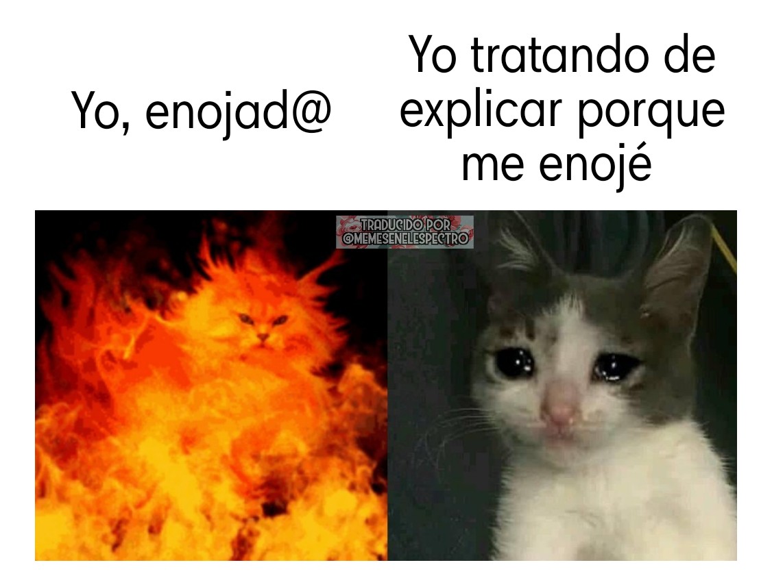 MEnelEspectro's tweet photo. 😔😔😔... #memesenelespectro #autismo #memes #memetherapy https://t.co/H2w811sk6a