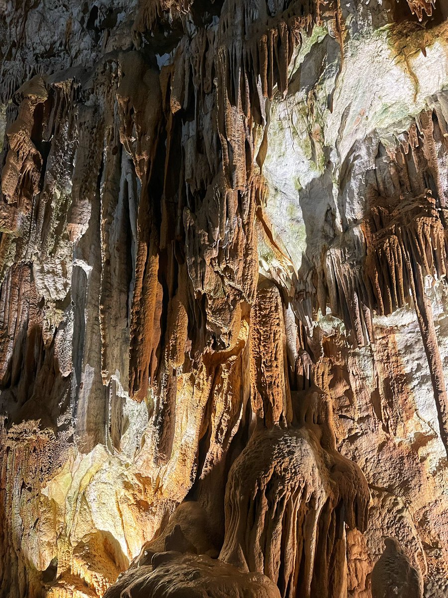 Andre0096's tweet photo. Se avete l’opportunità di visitare le grotte di Postumia sono in esperienza fantastica.
#slovenia #grottedipostumia #photo #photography #travelslovenia #travel https://t.co/7uGbAKYkRo