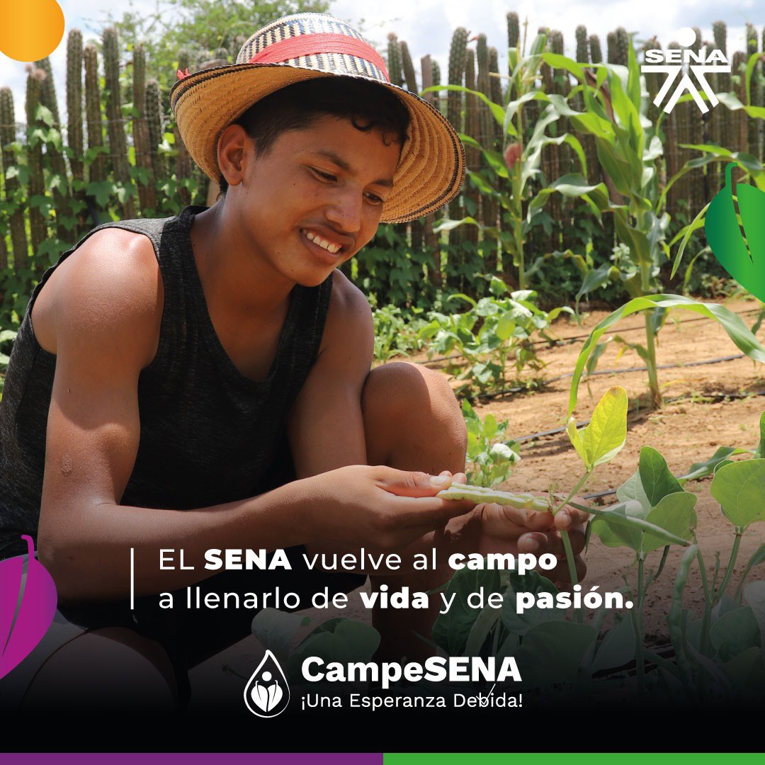 johanasmedina's tweet photo. Ser campesina y campesino es motivo de orgullo. #CampeSENA construye futuro en el campo colombiano.
Lanzamiento: martes 21 de febrero. 
10 a.m. https://t.co/x4bSdrd869