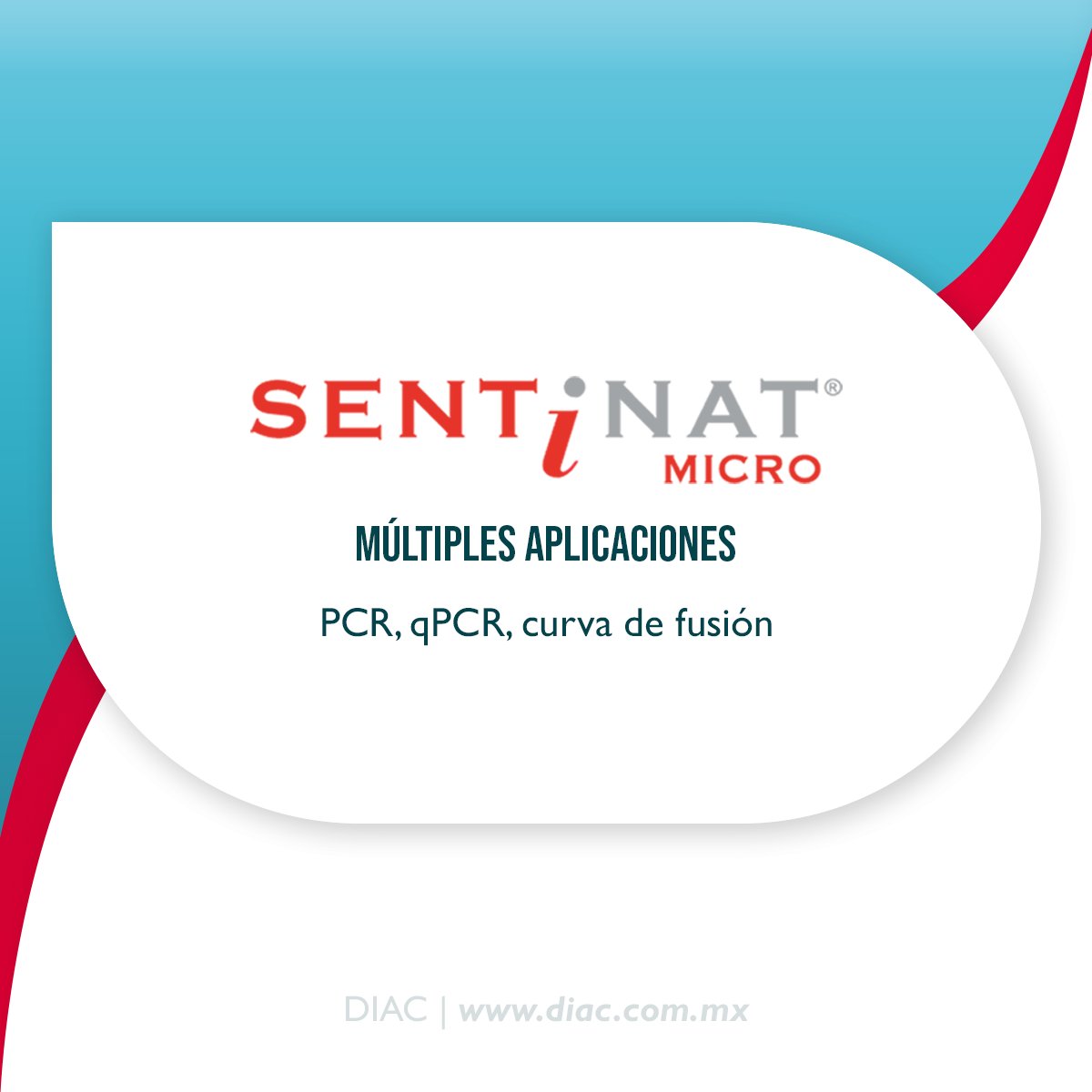 DIAC_MX's tweet photo. Instrumento qPCR para diagnóstico in vitro de SENTINEL Diagnostics

Conoce más información en:
https://t.co/vDqoikJcpq

✉ ventas@diac.com.mx 

#PCR #DIAC #SentinelDiagnostics #Salud #SARSCoV2 #Termociclador #BiologiaMolecular #Prevención #Diagnostico #Laboratorio https://t.co/szJ2pvepFK