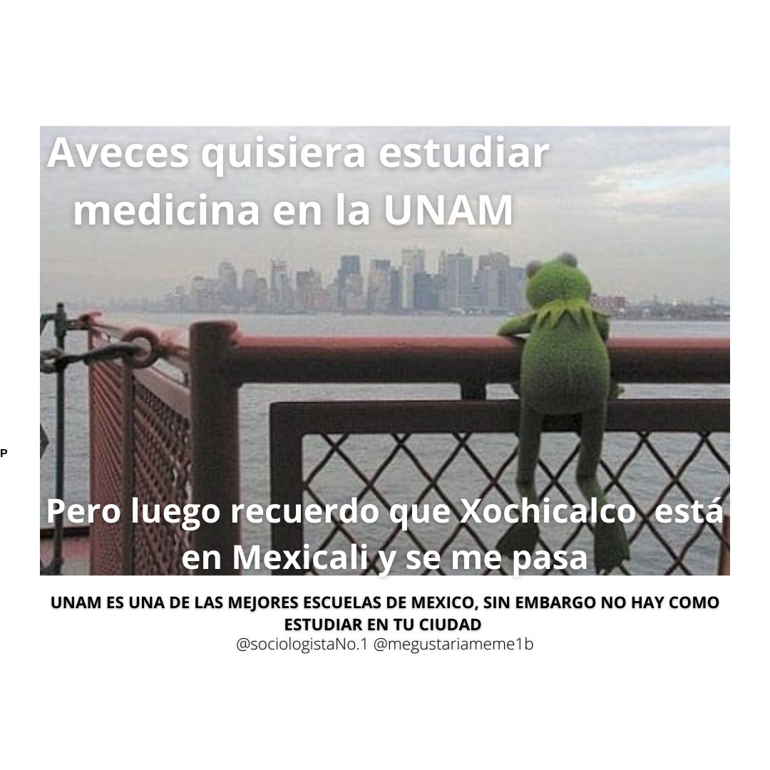 DiaraAbid's tweet photo. Diara Abid Martinez Verdugo 
@SociologistaNo1 
#megustariameme1b https://t.co/xyjIC8ruJR