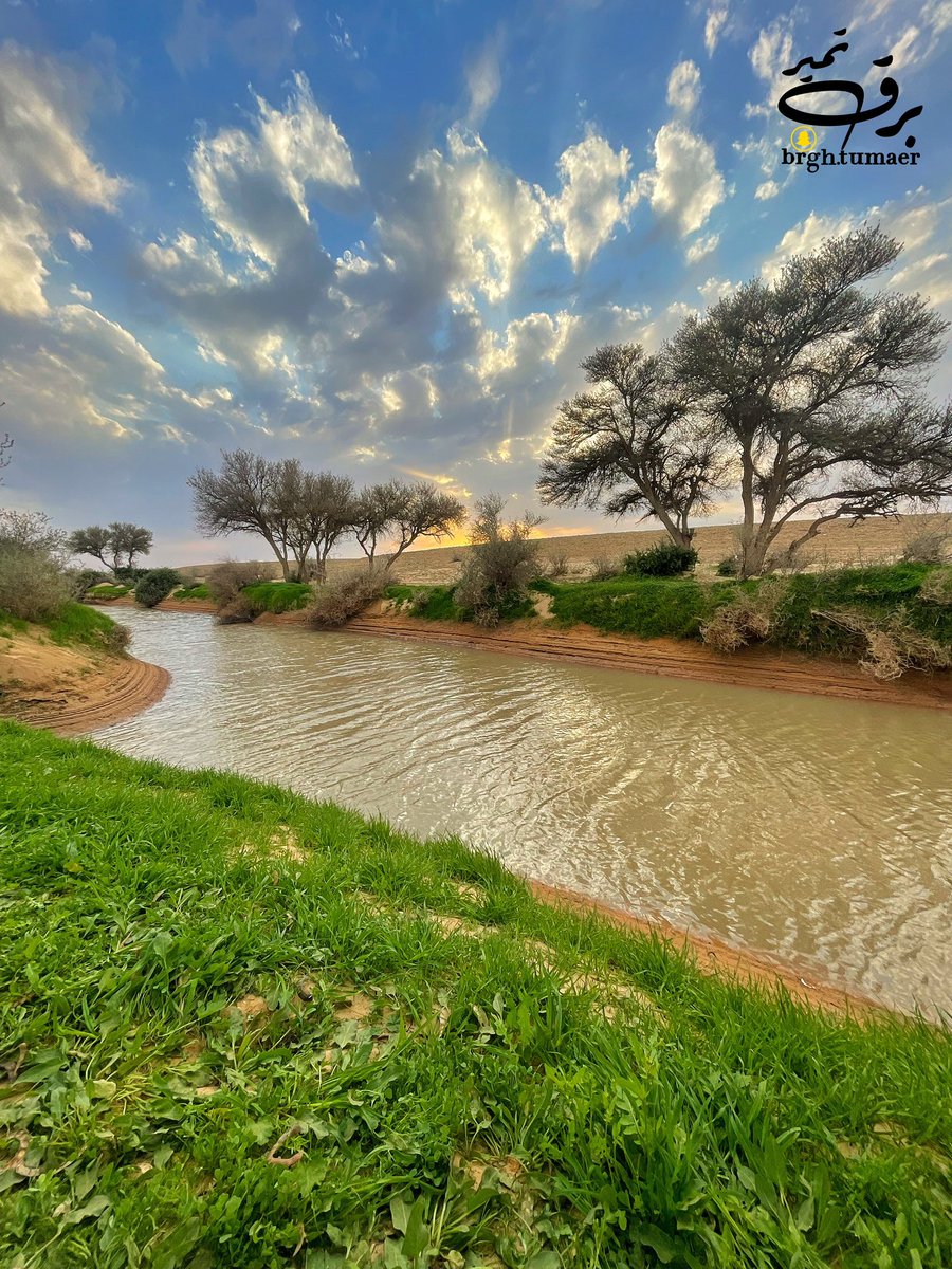 شاهد جمال الغدران مع الربيع في شعيب الشوكي .. 
مع الغروب والغيوم الجمعه ١٧ فبراير ..
#محمية_الملك_عبدالعزيز_الملكية 
#برق_تمير