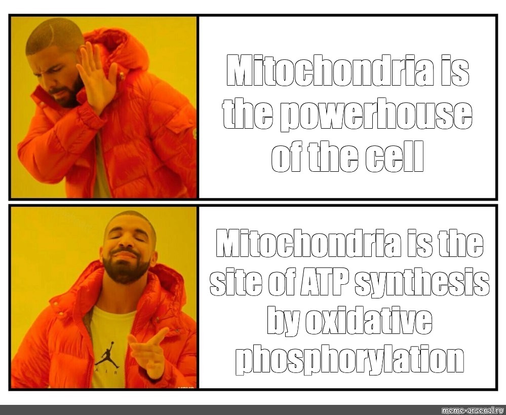 Mighty Mito is here. 🫡
#Celebrate2023
#Drakeme