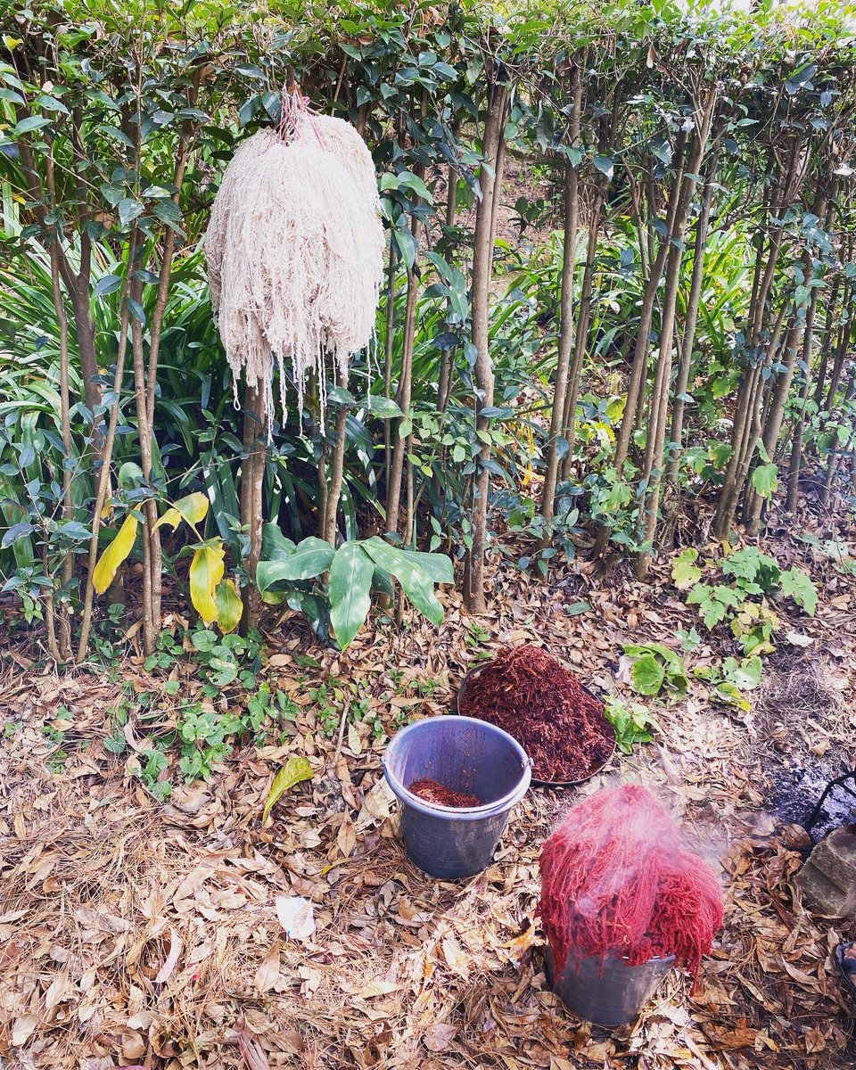 MaraCTaft's tweet photo. Recently, @sciencemuseummn staff visited our partners in Chiapas, Mexico for our Chiapas Maya textile digitization project! It was wonderful to have the opportunity to work together &amp; learn about textile preservation, weaving traditions &amp; improving community access to collections https://t.co/4biiRdTyAc