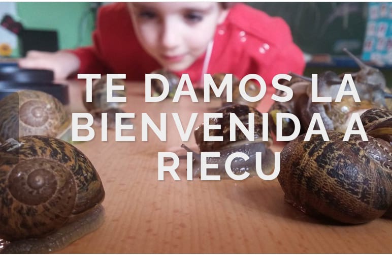 Otilia M. Guzmán Moral tweet media